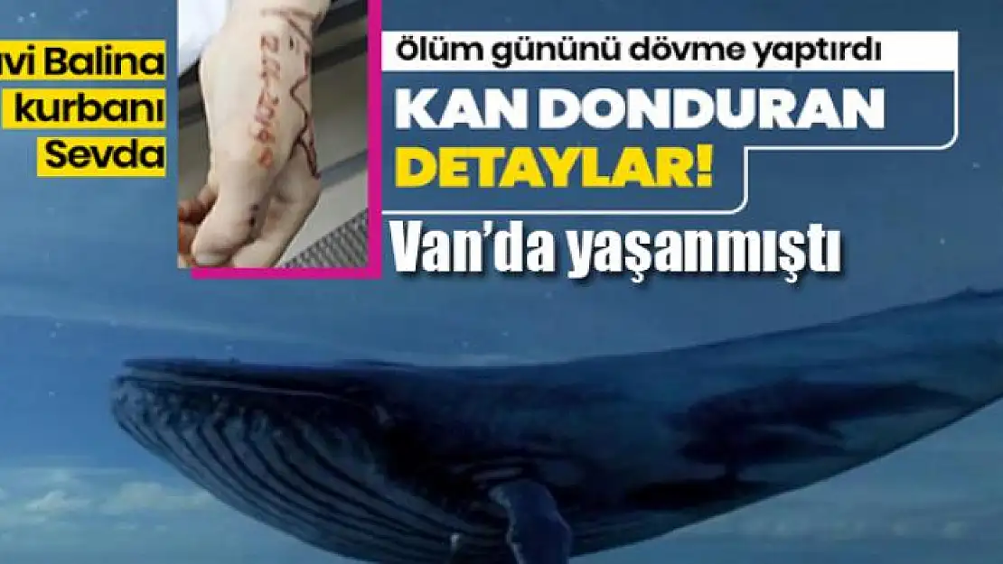 'Bağımlısı olmayız sandık, yanılmışız'