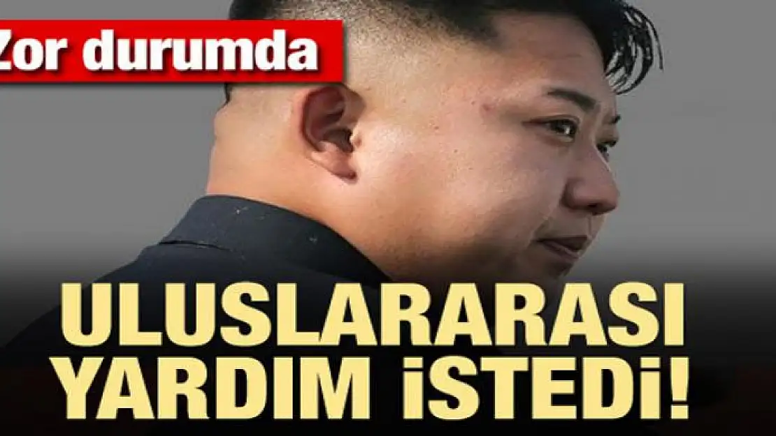 K.Kore çok zor durumda! Uluslararası yardım' istendi