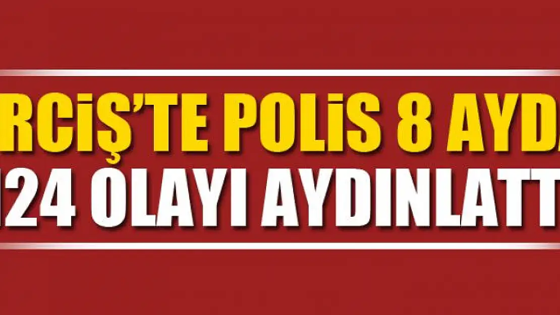 Erciş'te polis 8 ayda 124 olayı aydınlattı