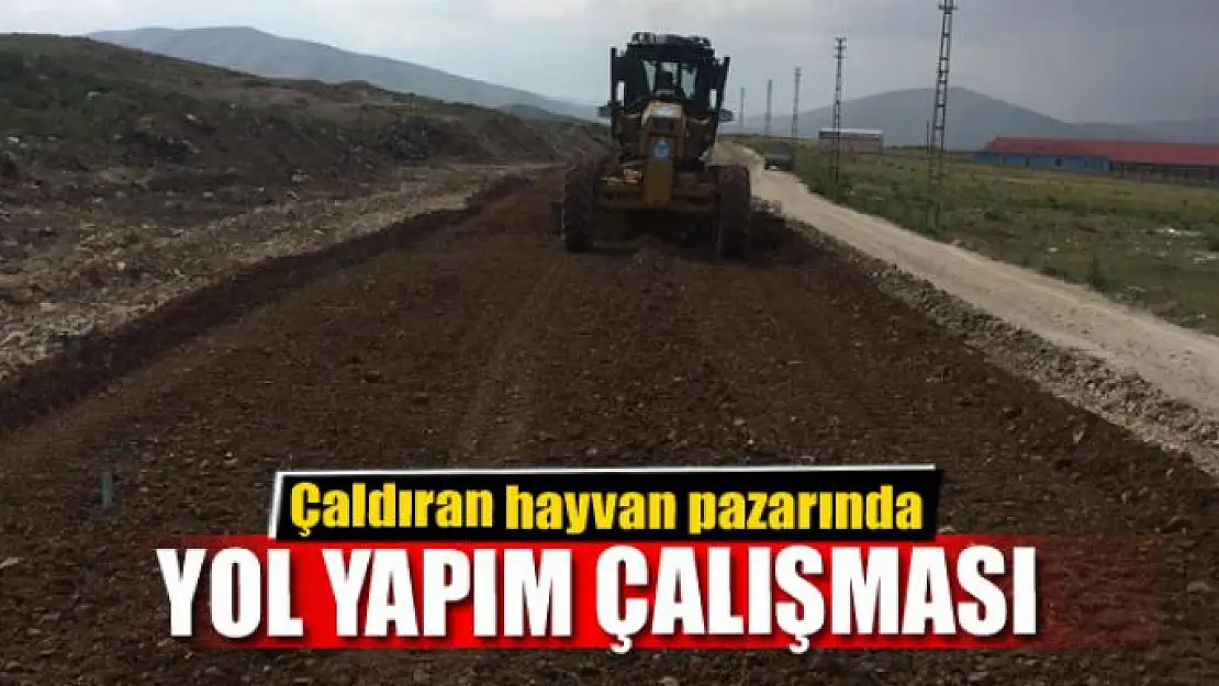 Çaldıran hayvan pazarında yol yapım çalışması 