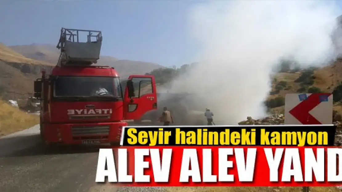 Seyir halindeki kamyon alev alev yandı