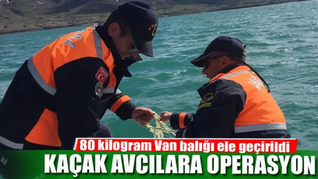 Kaçak avcılara operasyon