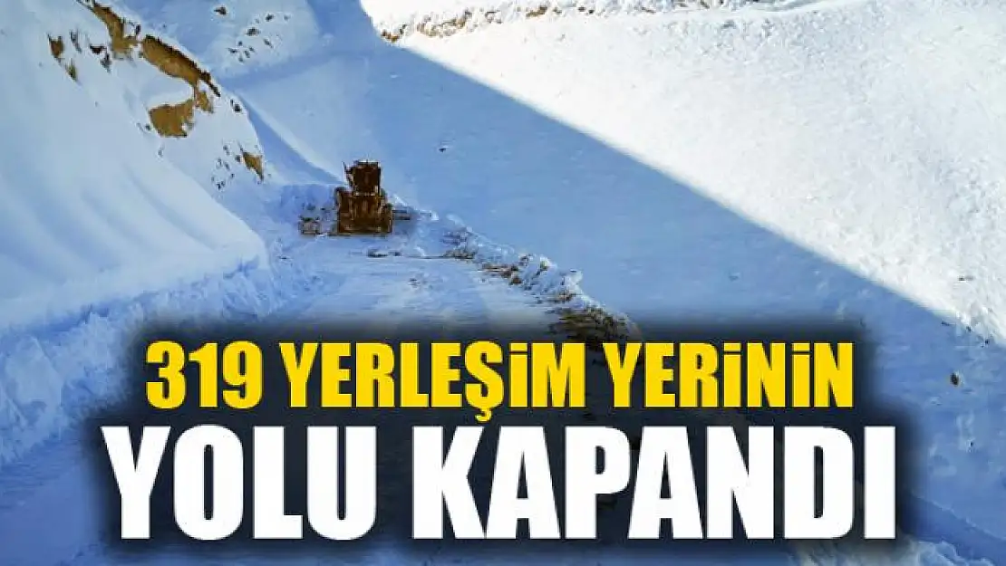 Van'da 319 yerleşim yerinin yolu kapandı