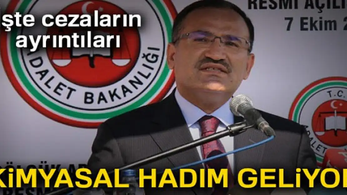 Kimyasal hadım geliyor