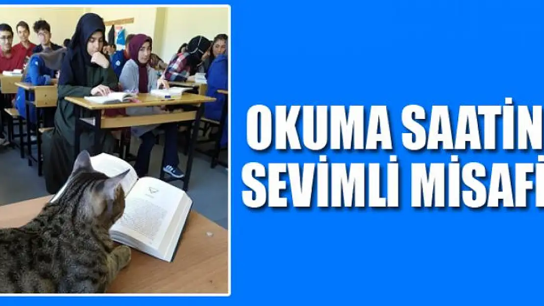 Okuma saatinin sevimli misafiri