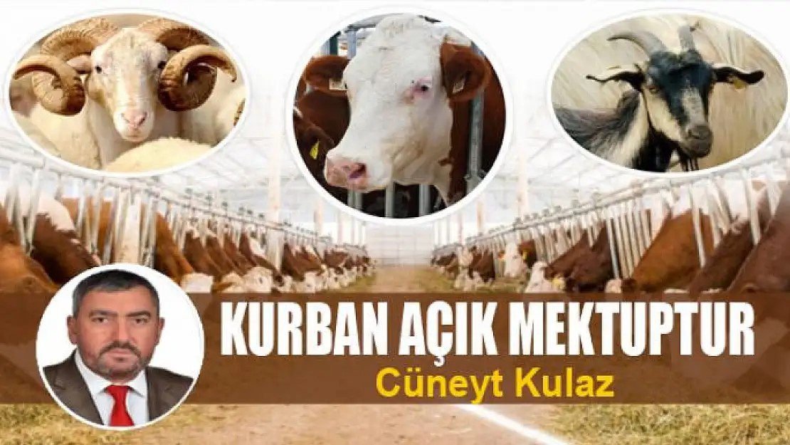 KURBAN AÇIK MEKTUPTUR