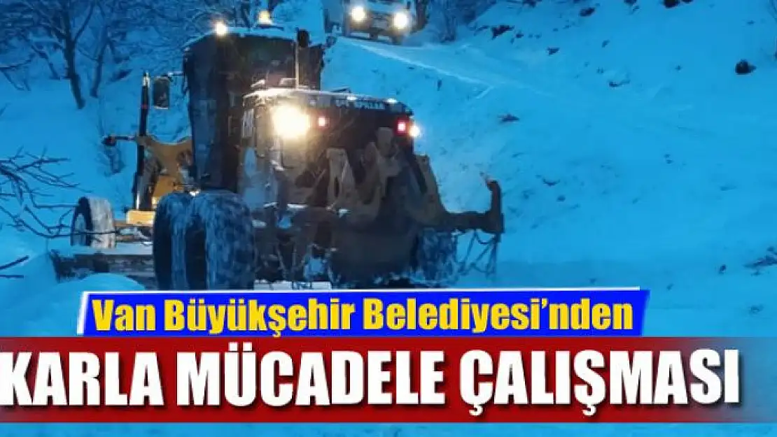 Van'da karla mücadele çalışması