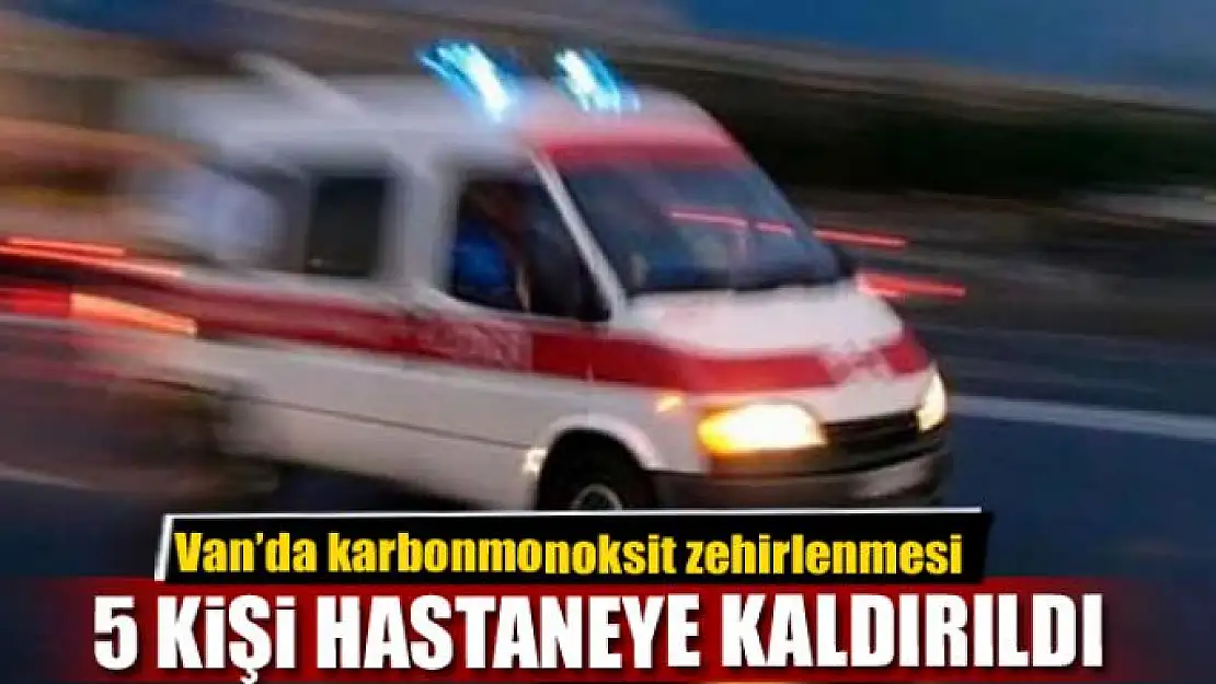 Van'da karbonmonoksit zehirlenmesi 