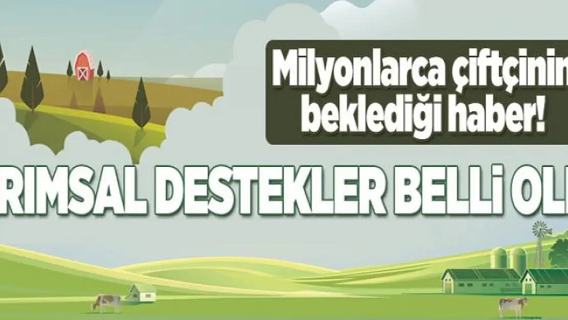 Çiftçilere ödenecek tarımsal destekler belli oldu  