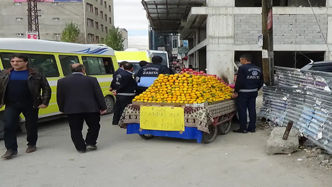 Van'da Seyyar ve Dilenci Operasyonu