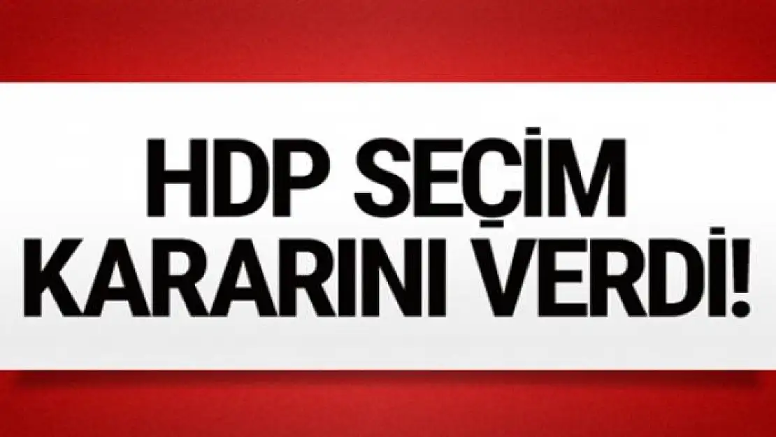 HDP'nin cumhurbaşkanı adayı belli oldu! İşte o isim