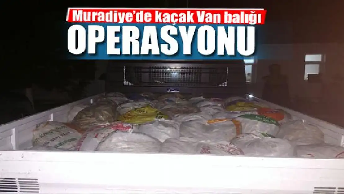 Muradiye'de kaçak Van balığı operasyonu