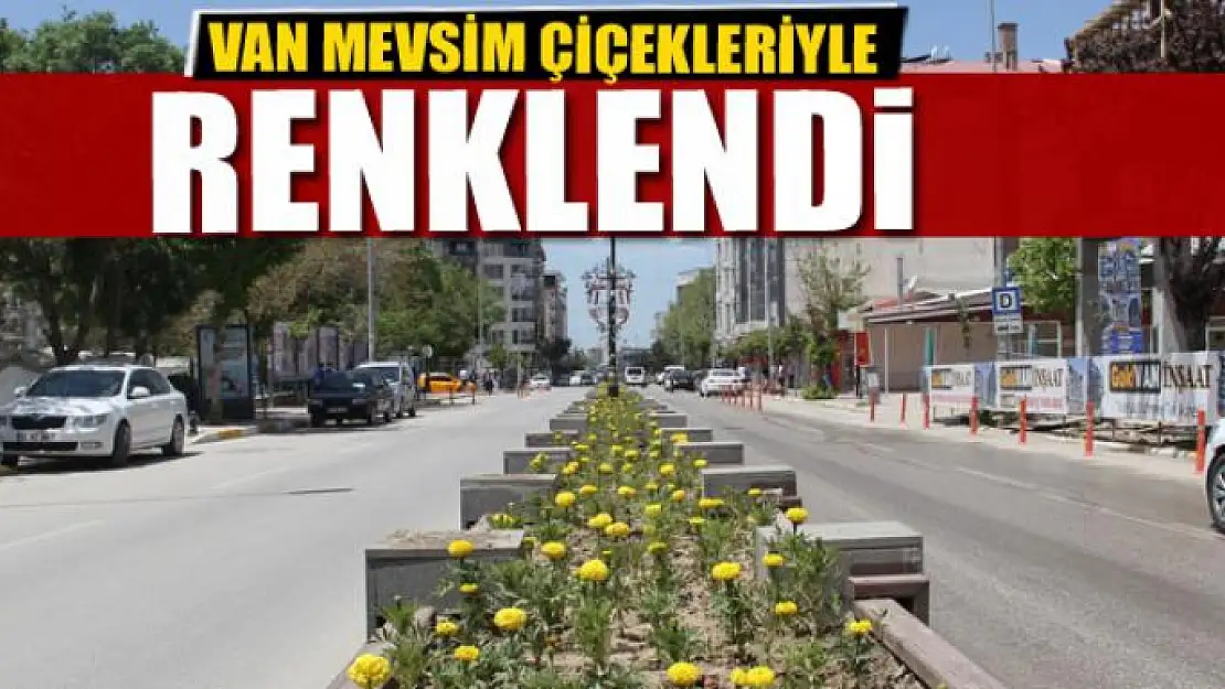 Van mevsim çiçekleriyle renklendi