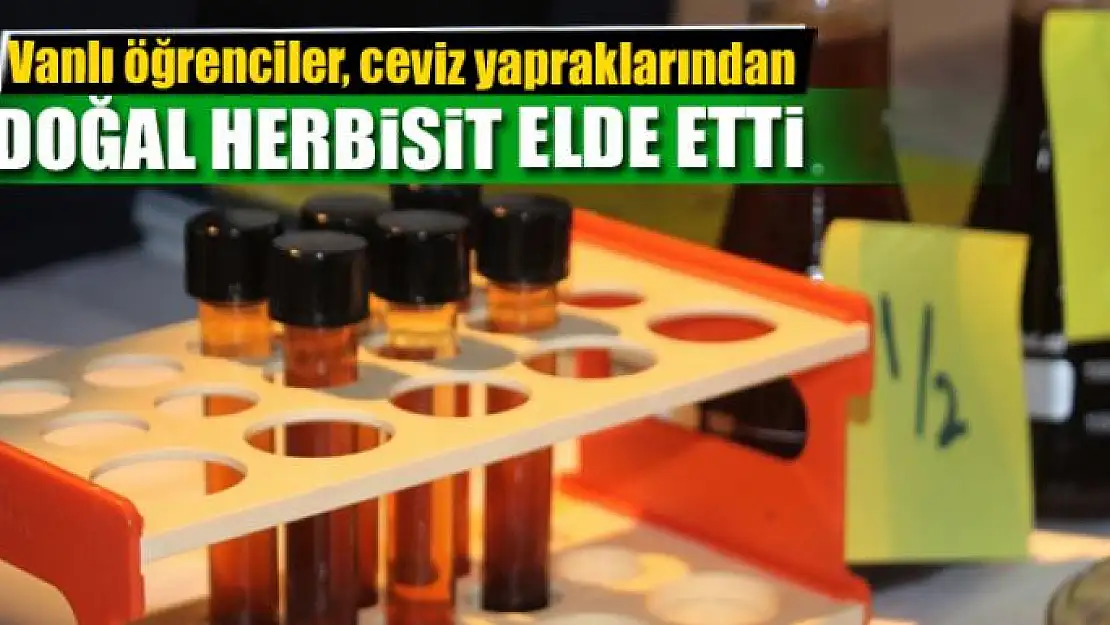 Vanlı öğrenciler, ceviz yapraklarından doğal herbisit elde etti