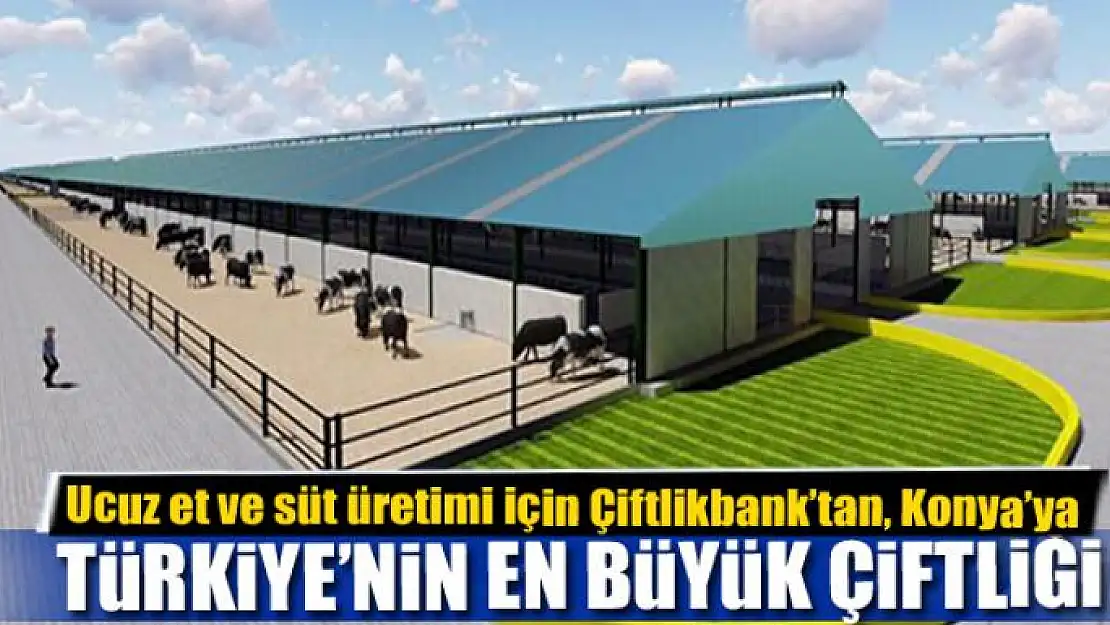 Ucuz et ve süt üretimi için Çiftlikbank'tan, Konya'ya Türkiye'nin en büyük çiftliği