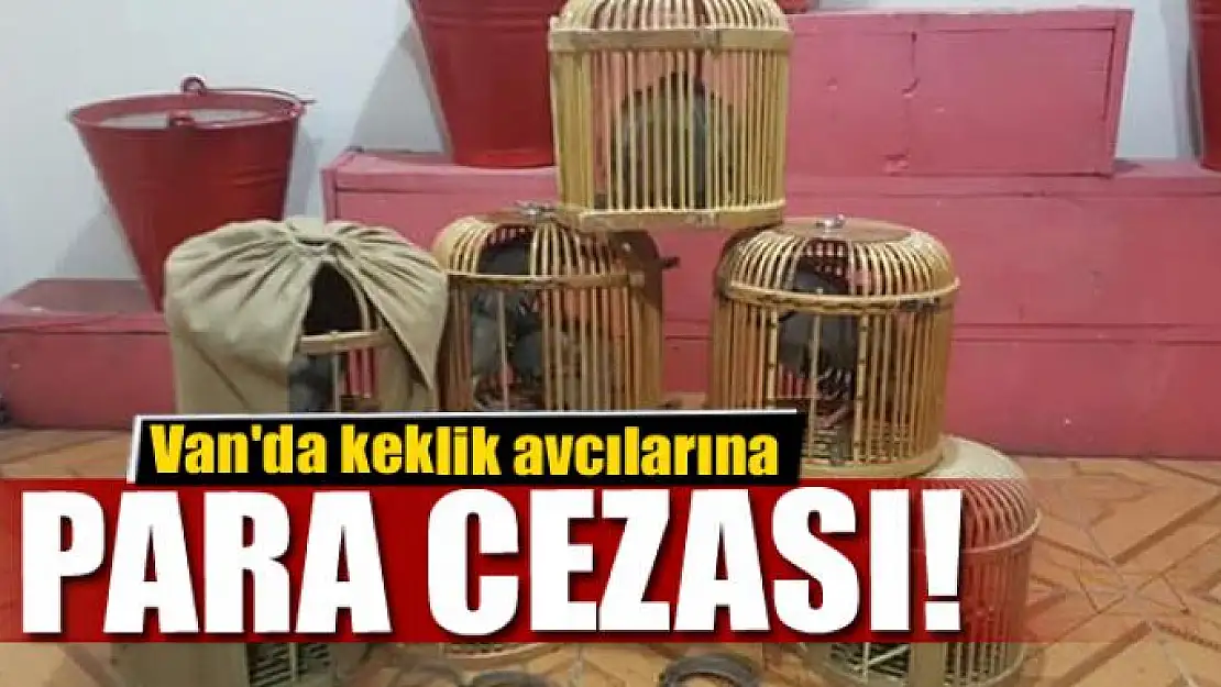 Van'da keklik avcılarına ceza 