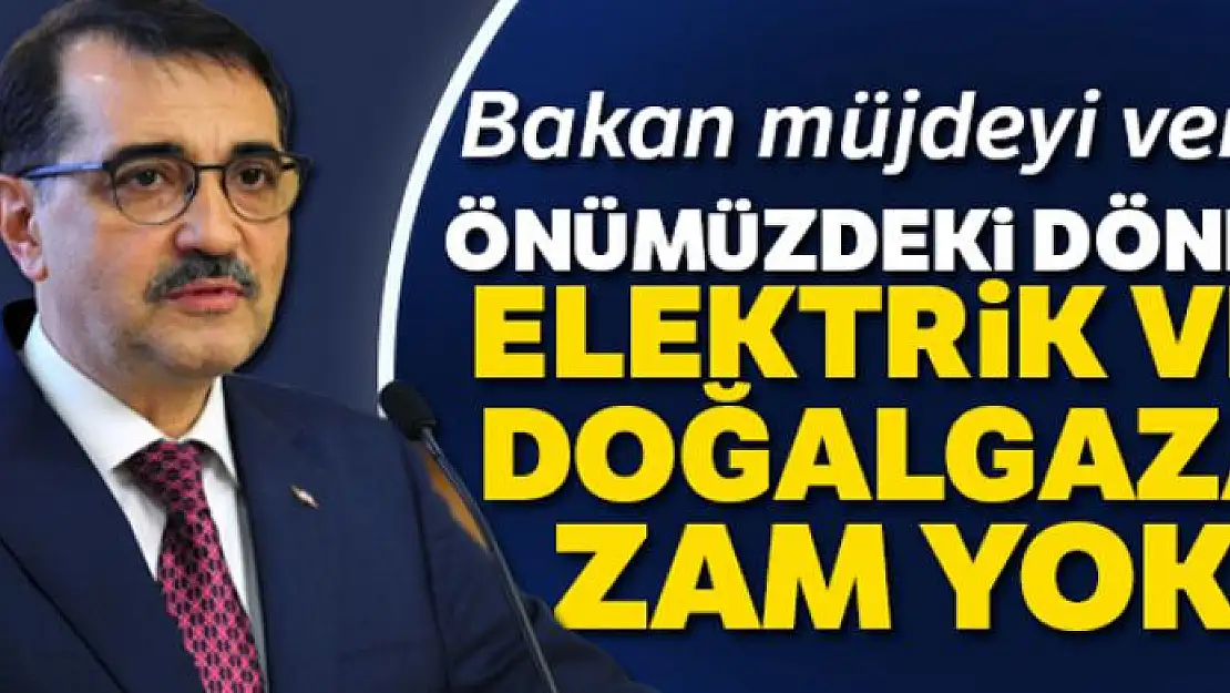 Bakan Dönmez: 'Önümüzdeki dönem doğalgaz ve elektriğe zam yok'