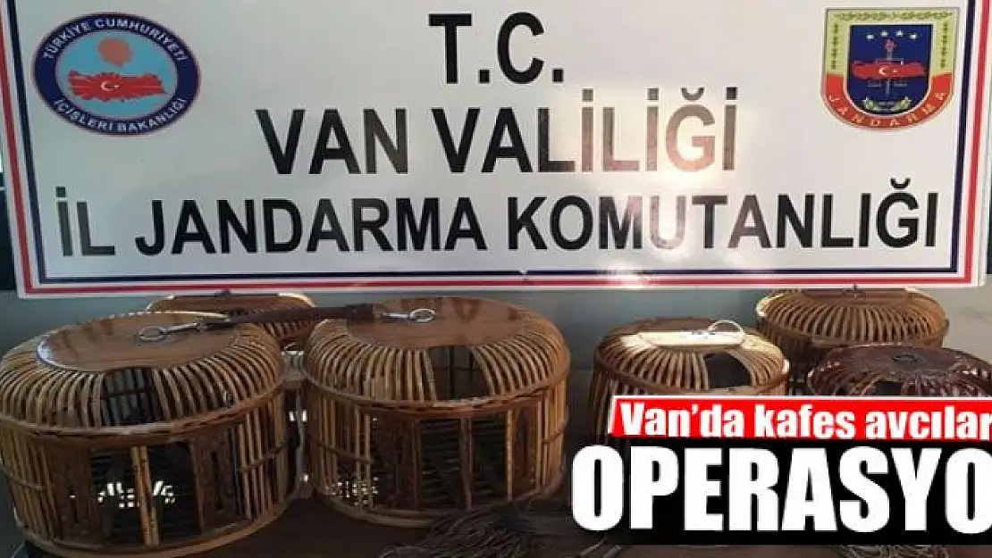 Van'da kafes avcılarına operasyon