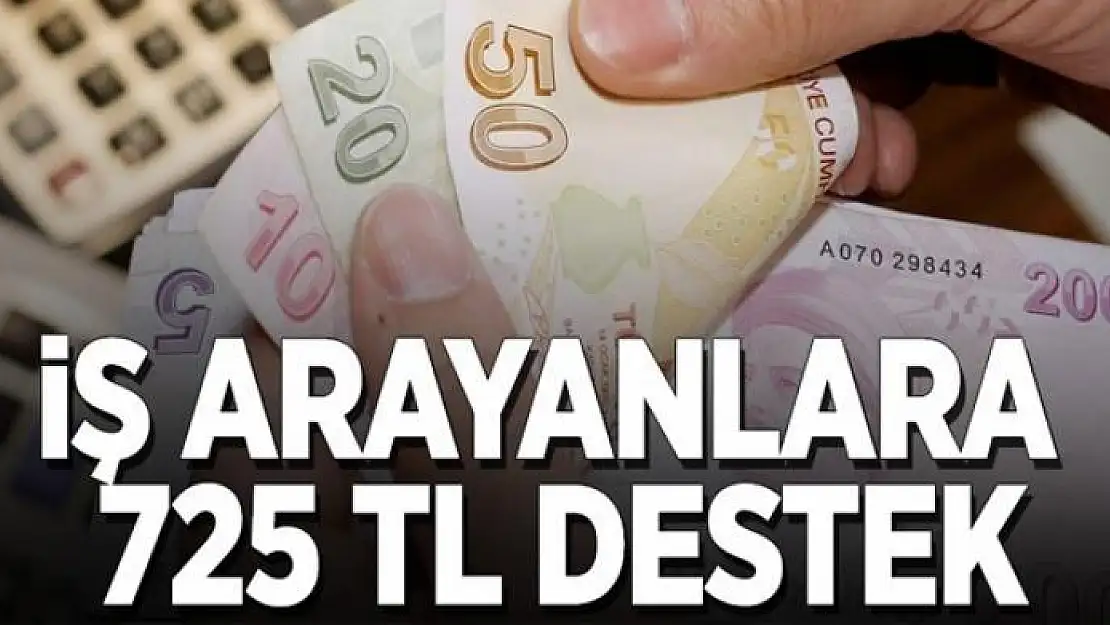 İş arayanlara 725 TL destek 