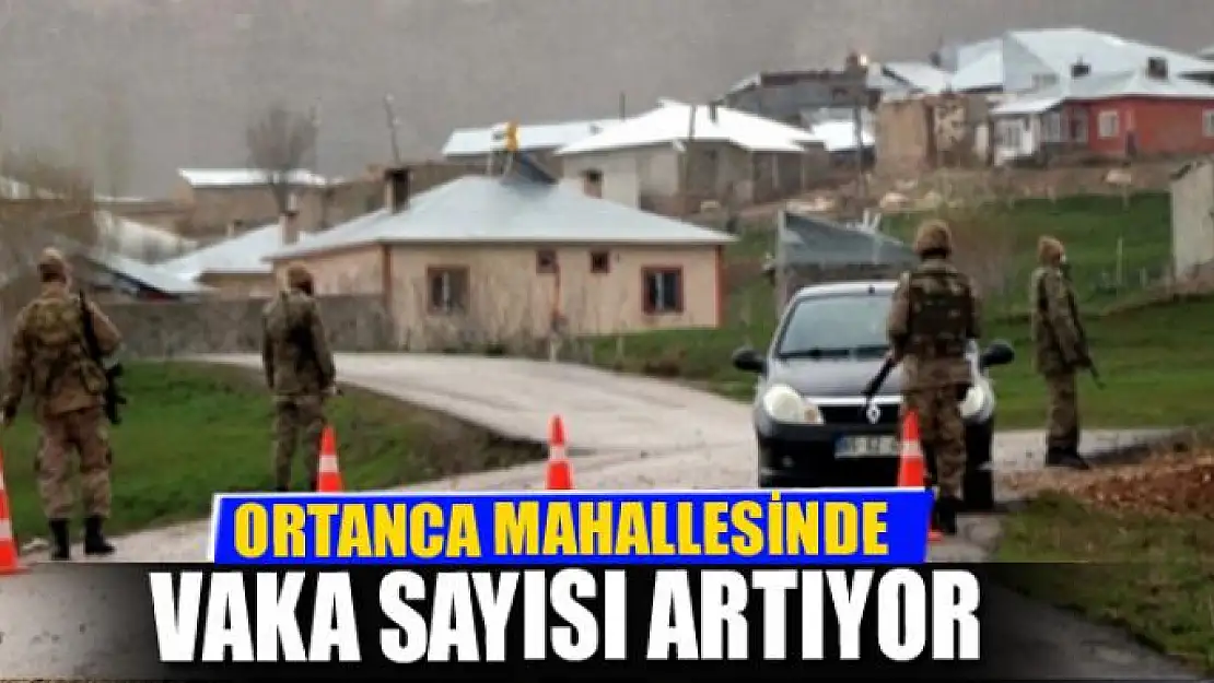 Ortanca Mahallesinde vaka sayısı artıyor