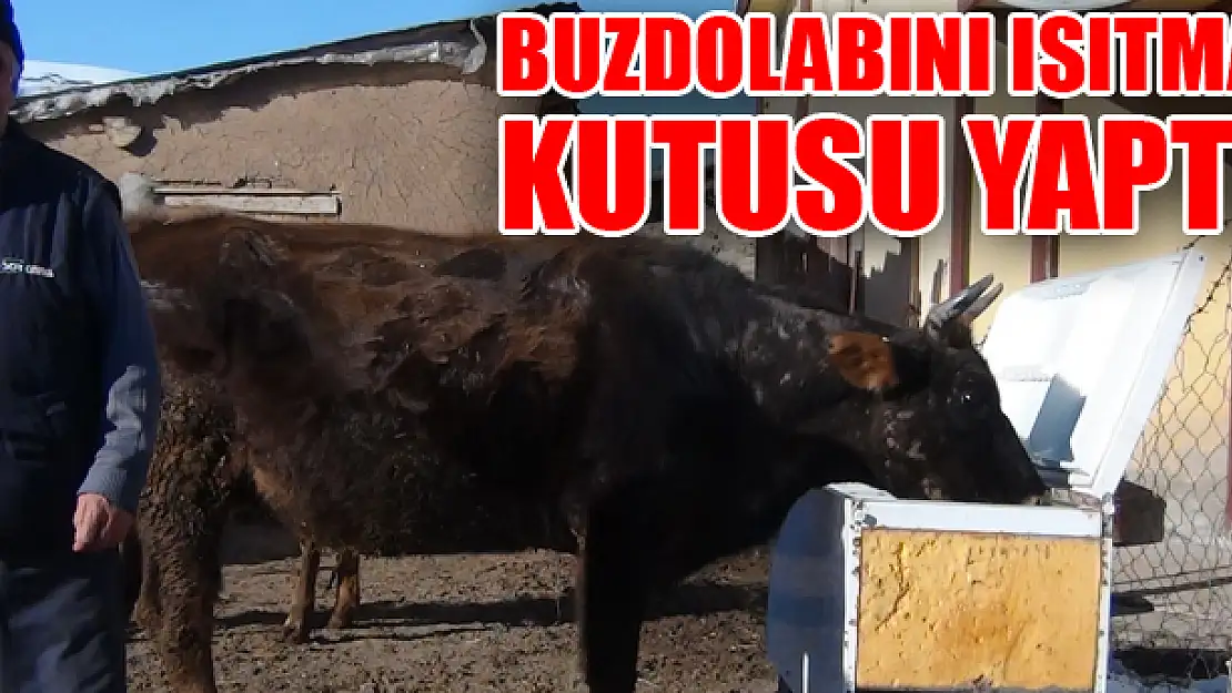 Buzdolabını ısıtma kutusu yaptı