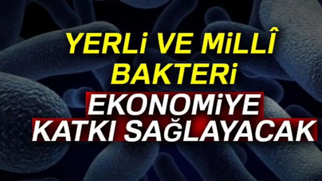 Yerli ve millî bakteri ekonomiye katkı sağlayacak