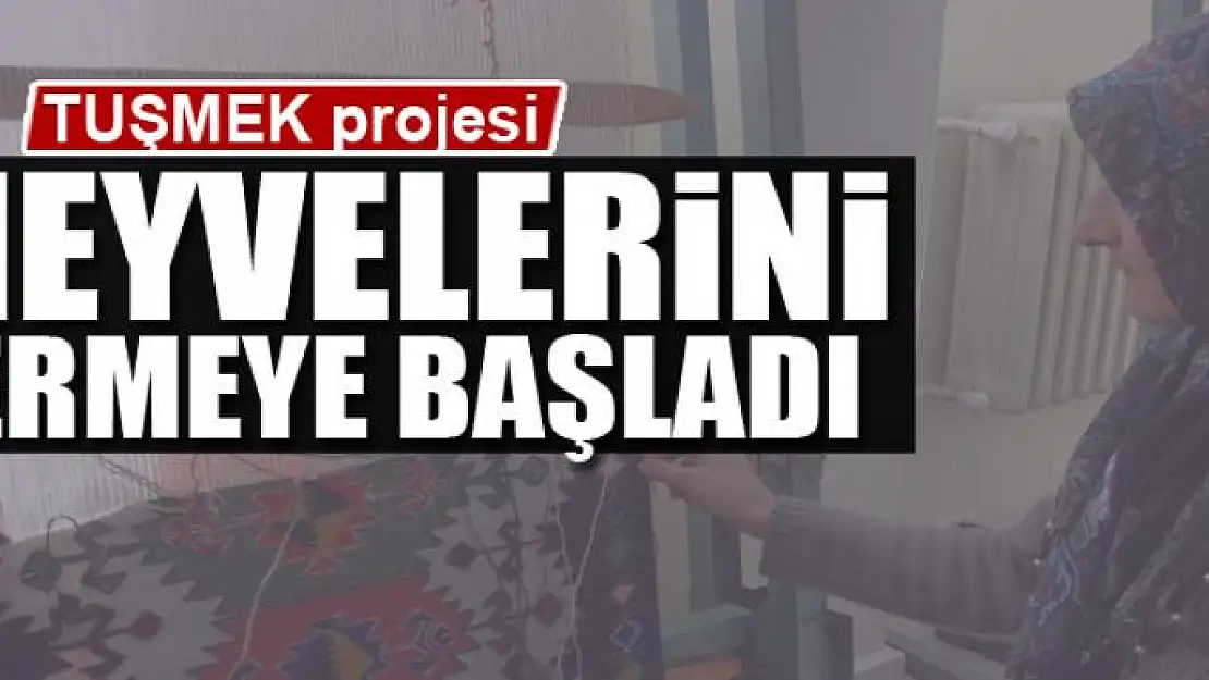 TUŞMEK projesi meyvelerini vermeye başladı 