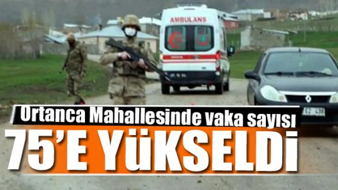 Ortanca Mahallesinde vaka sayısı 75'e yükseldi