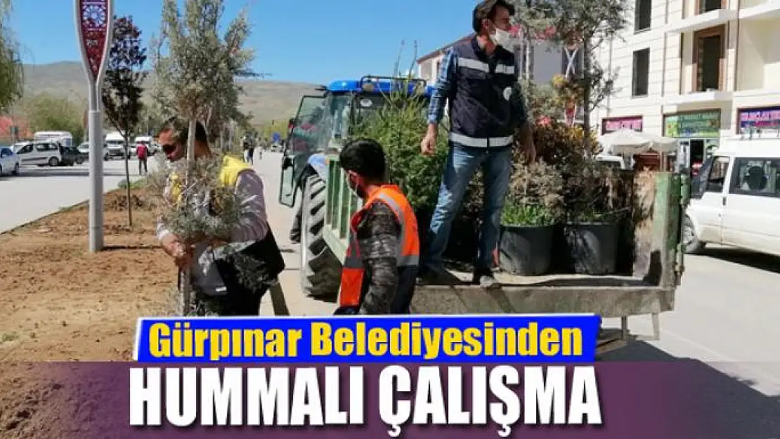 Gürpınar Belediyesinden hummalı çalışma