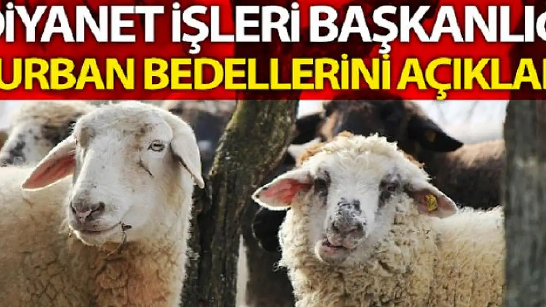 Diyanet İşleri kurban bedellerini açıkladı