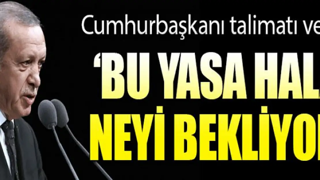 Cumhurbaşkanı Erdoğan'dan yasa talimatı: Hala neyi bekliyor?