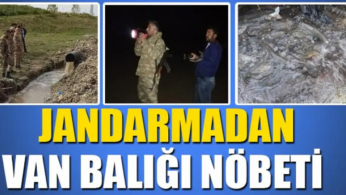 Jandarmadan Van balığı nöbeti 