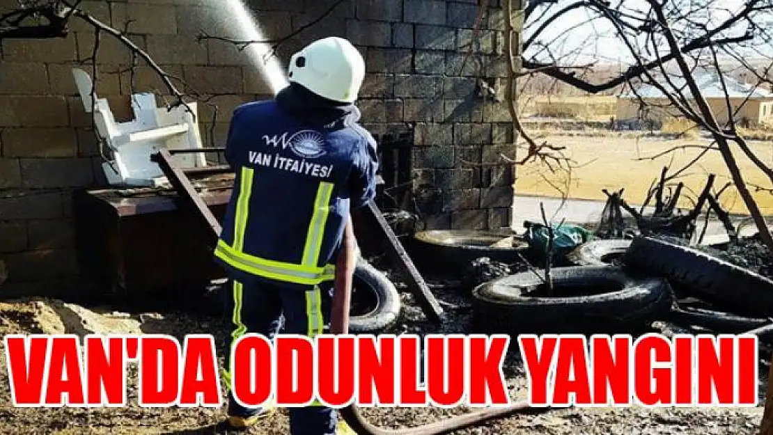 Van'da odunluk yangını