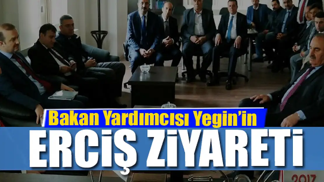 Bakan Yardımcısı Yegin'in Erciş ziyareti