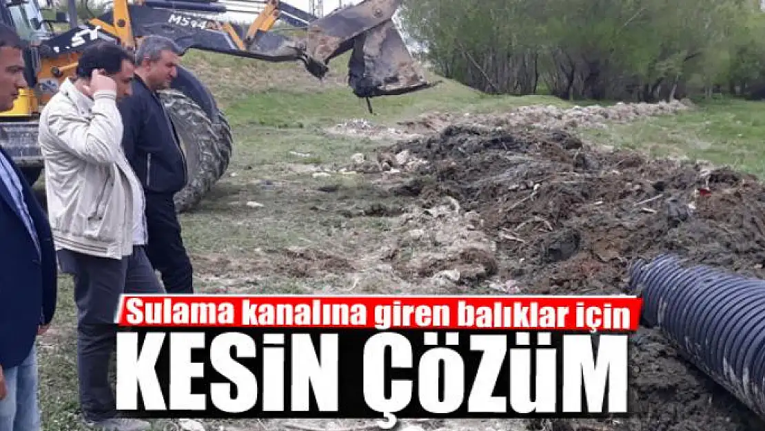 Sulama kanalına giren balıklar için kesin çözüm