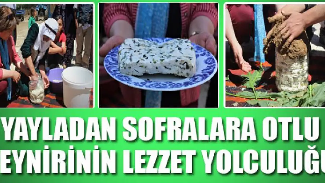 Yayladan sofralara otlu peynirinin lezzet yolculuğu