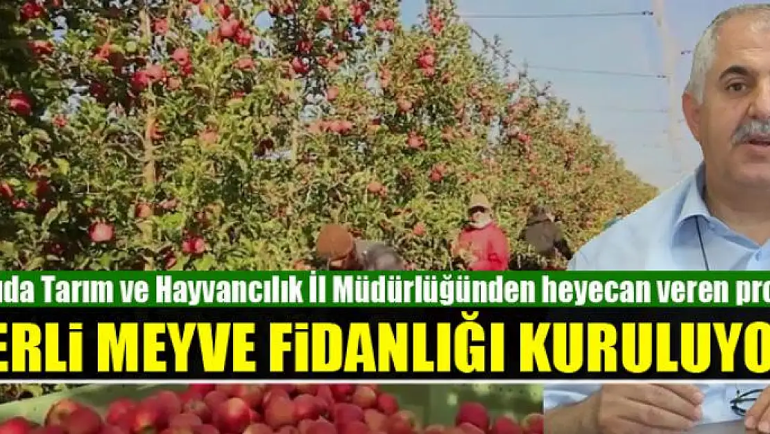 YERLİ MEYVE FİDANLIĞI KURULUYOR