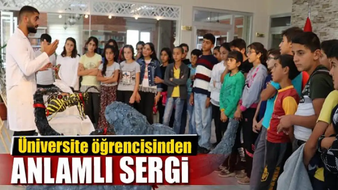 Üniversite öğrencisinden anlamlı sergi