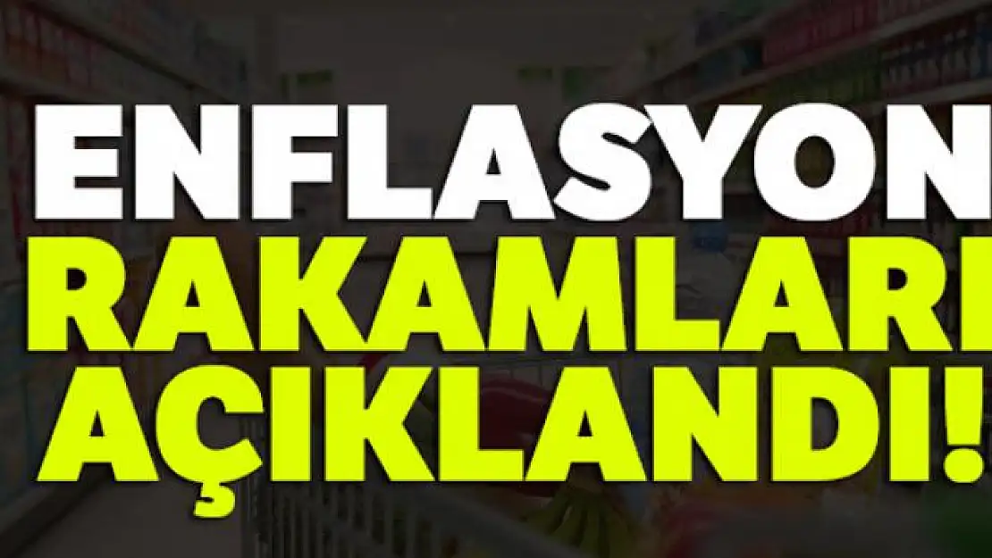 Enflasyon rakamları açıklandı