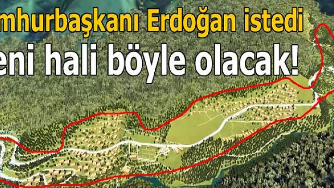 Cumhurbaşkanı Erdoğan istedi! Ayder Yaylası böyle olacak