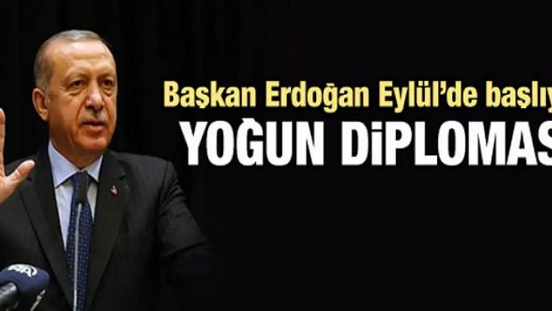 Başkan Erdoğan'dan diplomasi atağı