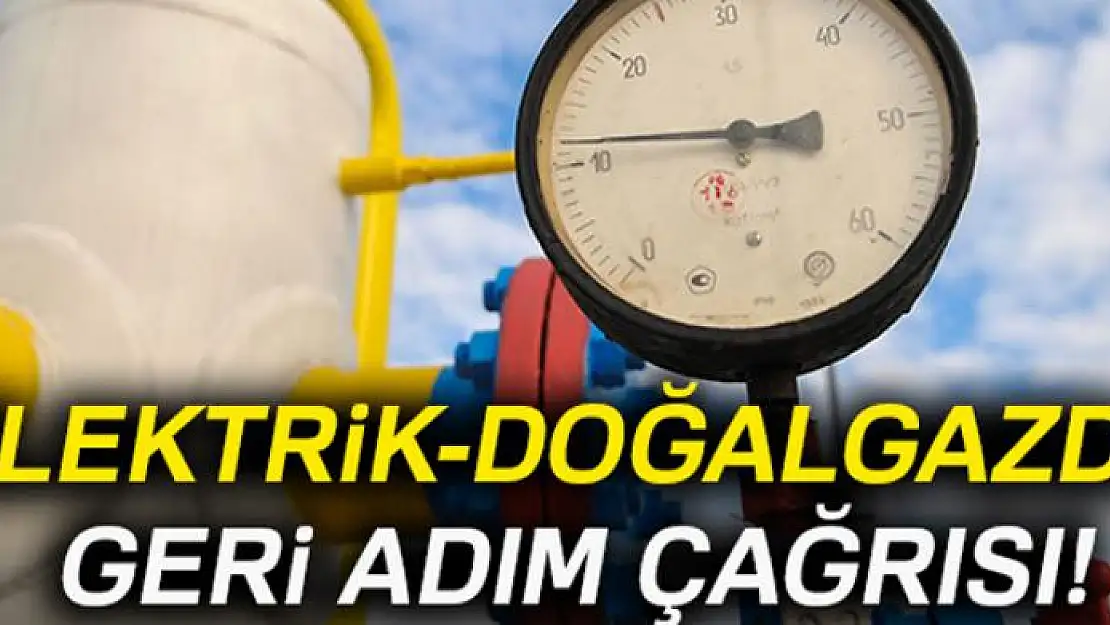 Elektrik-doğalgazda geri adım çağrısı