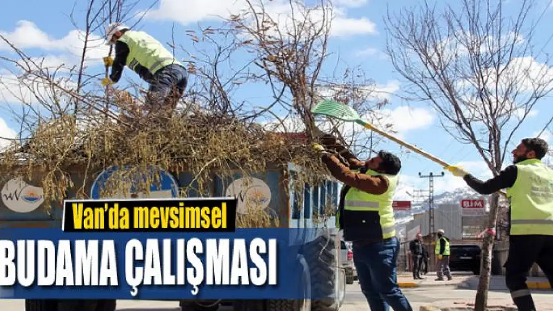 Van'da mevsimsel budama çalışması