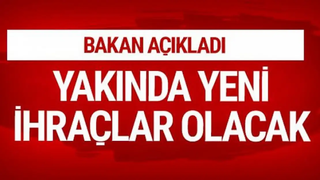 Yeni ihraç dalgası geliyor Fikri Işık'tan son açıklama