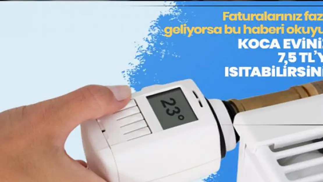 Doğalgaz faturalarınız fazla geliyorsa bu haberi okuyun: Bu petek ile eviniz 7.5 liraya ısınacak