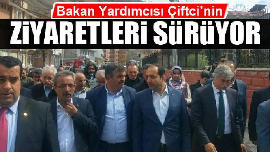 Bakan Yardımcısı Çiftçi Çatak'ta