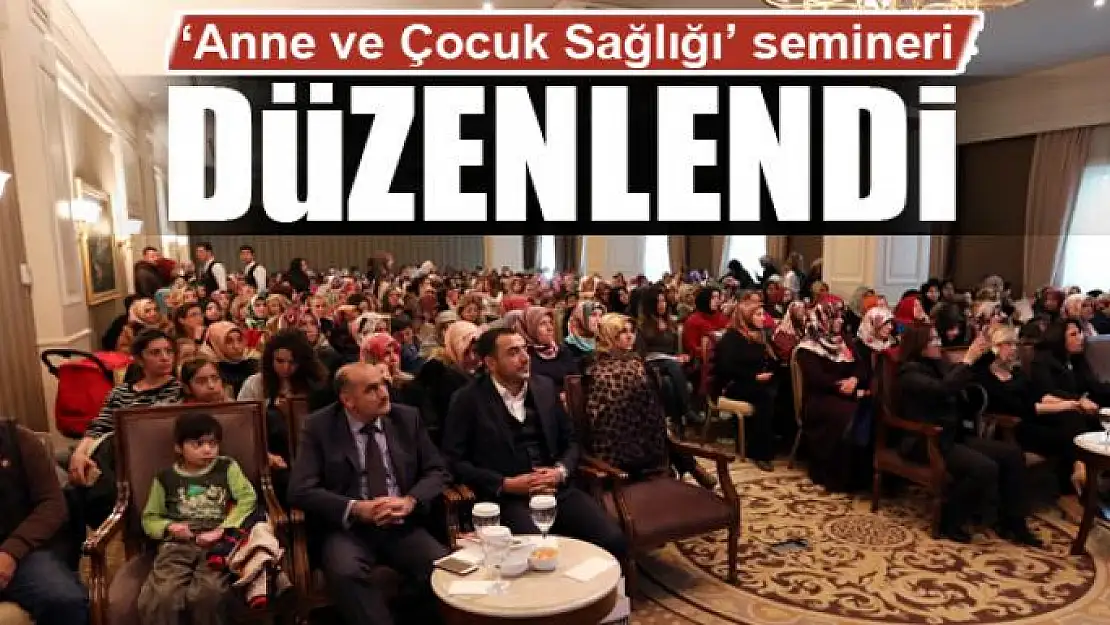 Van'da 'Anne ve Çocuk Sağlığı' semineri 