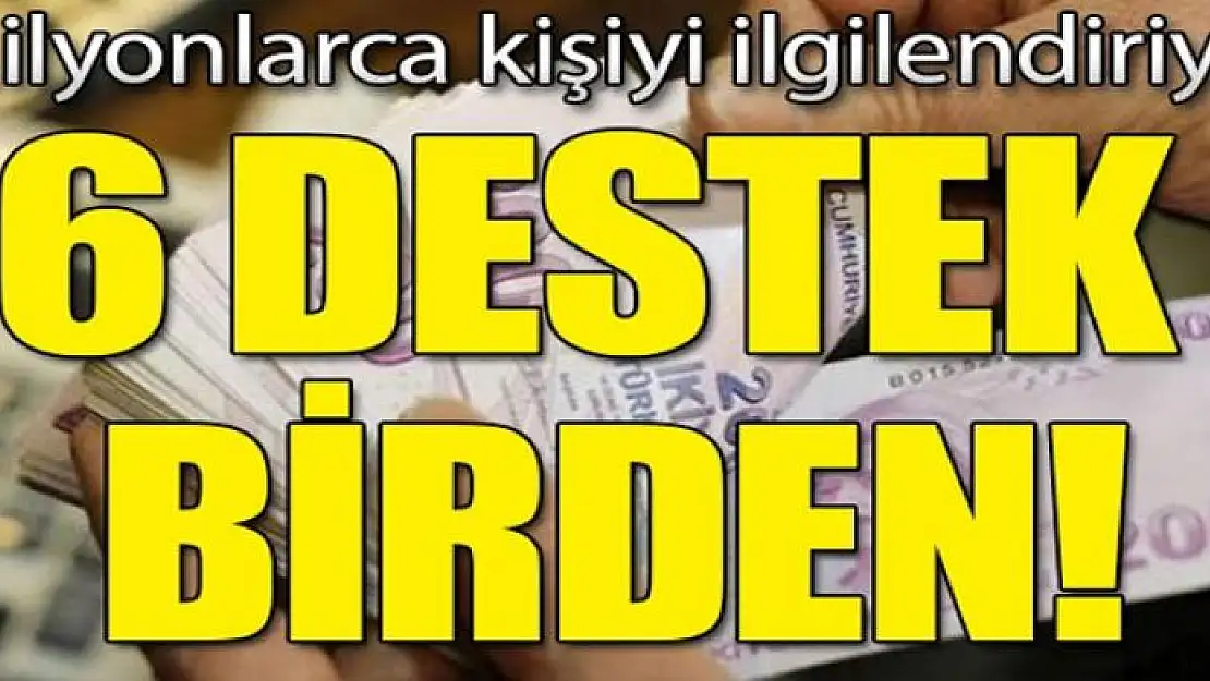 Anneye 6 destek birden!