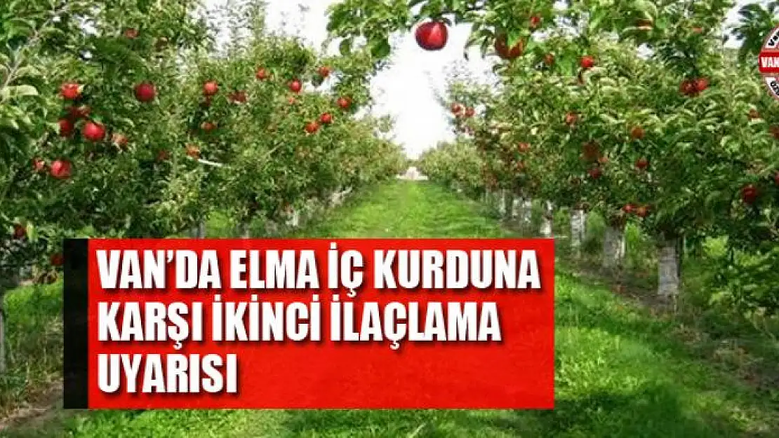 Van'da elma iç kurduna karşı ikinci ilaçlama uyarısı