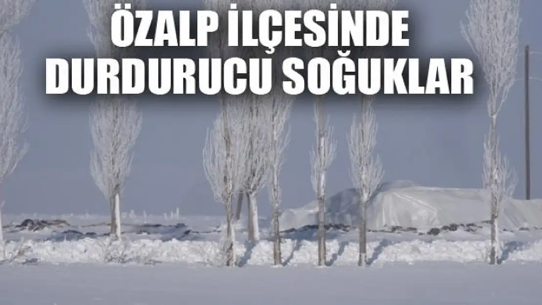 Özalp ilçesinde durdurucu soğuklar